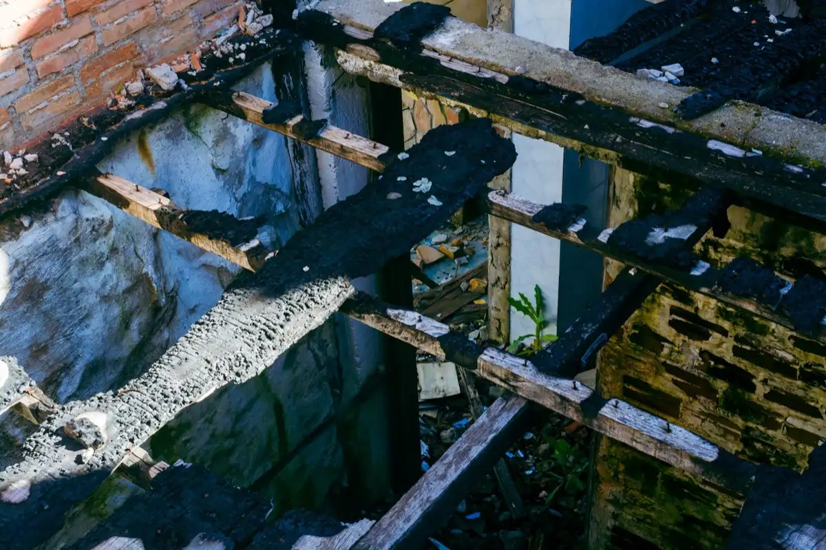 Roof Leak Repair in Savannah, GA